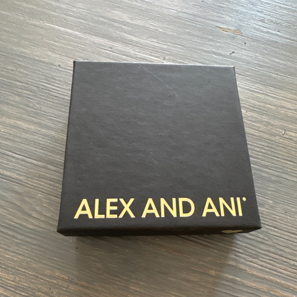 Alex and Ani Bracelet Compass